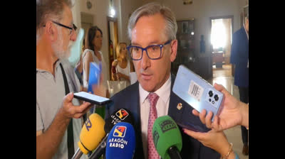 OPINIONES PLENO ORGANIZACION DE LA DIPUTACION DE TERUEL