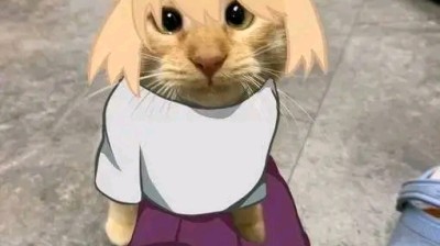 spy x family capitulo 02