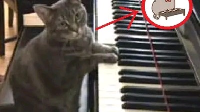 spy x family capitulo 03