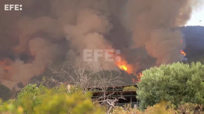 Emergencia en Tenerife: Incendio voraz amenaza áreas de Arafo y Candelaria