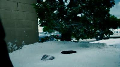 STORM OF SUSPICION: SNOW JOB