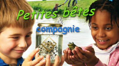 Petites bêtes & compagnie (2009) Par KLAA RIAD