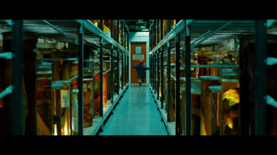 As Aventuras de Paddington 2014