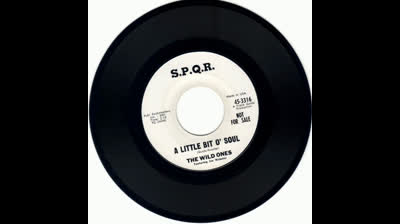 WILD ONES (1964) - A LITTLE BIT O' SOUL