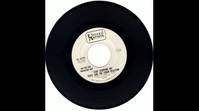 TERRY & THE CHAIN REACTION 91967) - STOP STOPPING ME