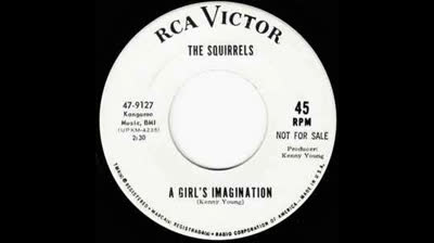 Squirrels 91967) - A Girls Imagination